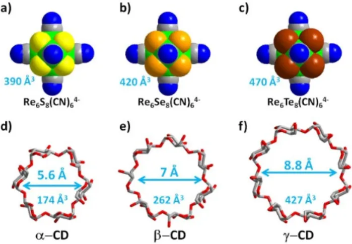 Figure 1: Structural representation of the molecular components used for  designing host-guest entities