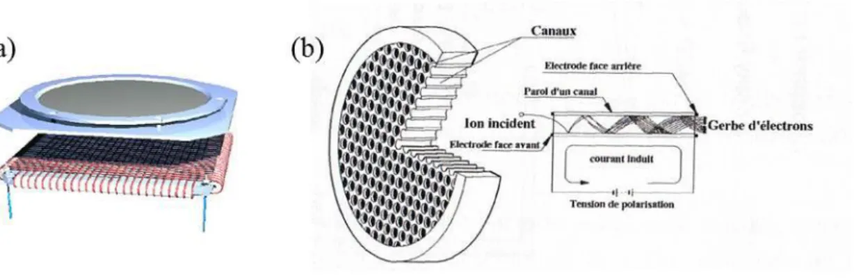 Figure I-5 : Schéma d’un détecteur sensible en temps et en position (a), et principe d’amplification  d’une MCP (b)