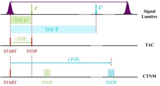 Figure  I-9 :  Chronologie  de  l’acquisition  d’un  événement  coïncident  (A + , e)  déclenchée  par  un  signal synchronisé sur les impulsions lumineuses