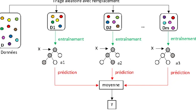 Figure 3. 3 : Processus entier de forêt aléatoire. Chaque modèle est ajusté à l'aide d’échantillons bootstrap (D1 à Dm) et combiné en faisant  la  moyenne  des  résultats,  il  s’agit  du  processus  de  bagging