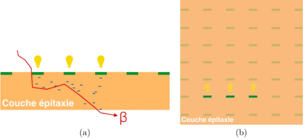 Figure 2.12 – (a) Schéma d’une vue de profil lors d’une interaction entre le capteur et la particule.