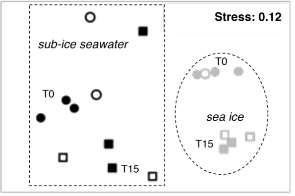 Figure 6. 2-Dimensional MDS configuration of microcosms based on Bray-Curtis similarities of  bacterial community composition in sub-ice seawater (black) and sea ice (grey) at the beginning  (T0, circles) and end (T15, squares) of the incubation