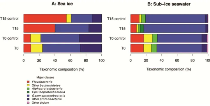 Figure 7. Bacterial community taxonomic composition based on 16S rRNA gene sequences in sea  ice (A) and sub-ice seawater (B) at the beginning (T0) and end (T15) of the incubation in control  and experimental microcosms