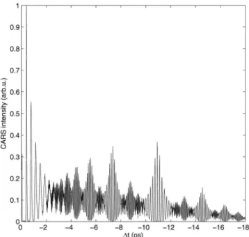 FIG. 3. Calculated CARS signal for wavepacket dynamics in the I 2 B-state, using the method described in Sec