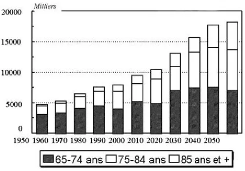 Figure 1 : projections de la population française âgée par tranche d'âge (1950-2050). 