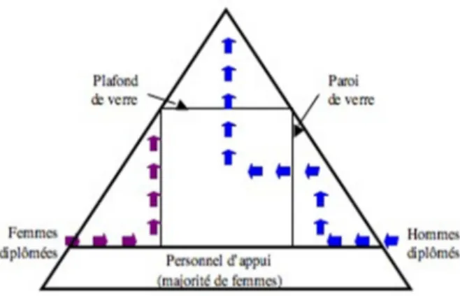 Figure  3  :  Plafond  et  Parois  de  verre  dans  la  pyramide  organisationnelle  (Cappelin,  2010)