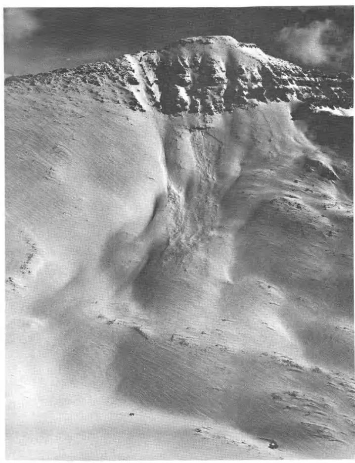 Figure  17  Westface of Bow Peak with the descent route of the climbers and the  avalanche