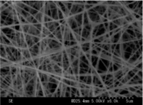 Fig. 1    SEM image of Z- D -Glu molecularly  imprinted nanofiber membrane. 
