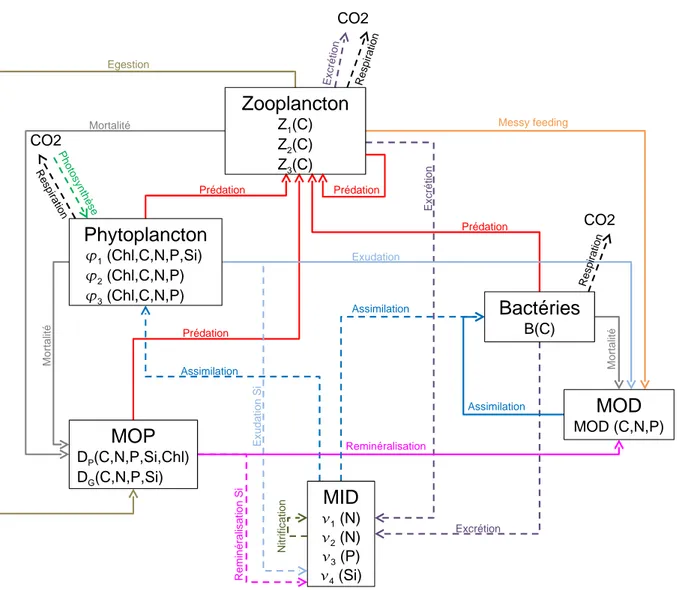 Fig. 5.1 – Interactions entre les différents groupes fonctionnels dans le modèle Eco3M-MED