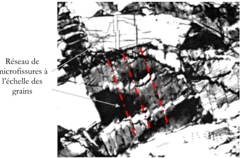 Figure 2.22 : Fluage cataclastique mis en évidence dans une roche quartzo-feldspathique, agrandissement x20,  d’après Tullis et Yund (1987)