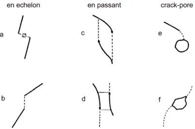 Figure 2.30 : Schéma des principaux modes d’interaction de microfissures, d’après Kranz (1979)