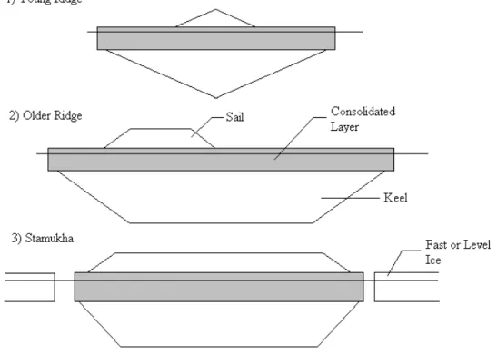 Figure 1 Examples of ridge cross-sectional profiles