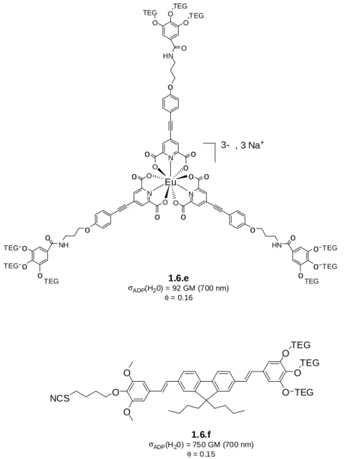 Figure 19 : exemple de chromophore actifs en TPIF et adaptés au milieu biologique [7,52] 