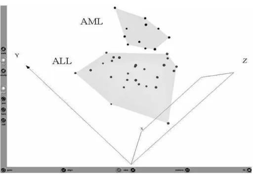 Fig. 3. Snapshot of the Virtual Reality representation of the union of all of the reducts obtained from 10 fold cross-validation input (38 samples with 766 genes)