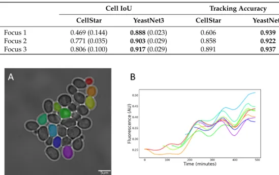 Table 2. Cell tracking performance at different levels of focus. Focus 1: in focus, Focus 2: slightly out of focus (0.6 µm above focal plane), Focus3: more out of focus (1.2 µm above focal plane)