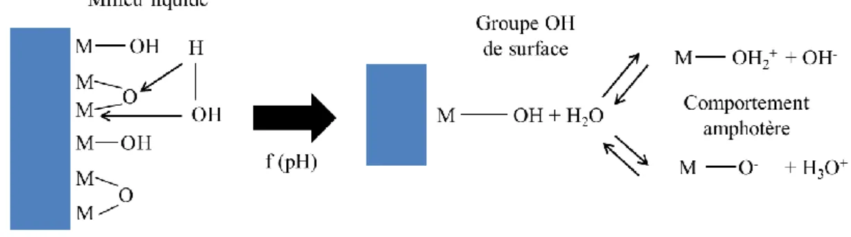 Figure I- 1 : Comportement amphotère d’un oxyde métallique : hydratation et formation de la  charge électrique en fonction du pH du milieu extérieur [les cahiers du CFM, 2000]