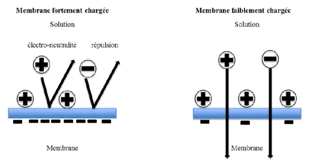 Figure I- 10 : Représentation schématique des interactions électrostatiques entre un électrolyte  et une membrane chargée négativement
