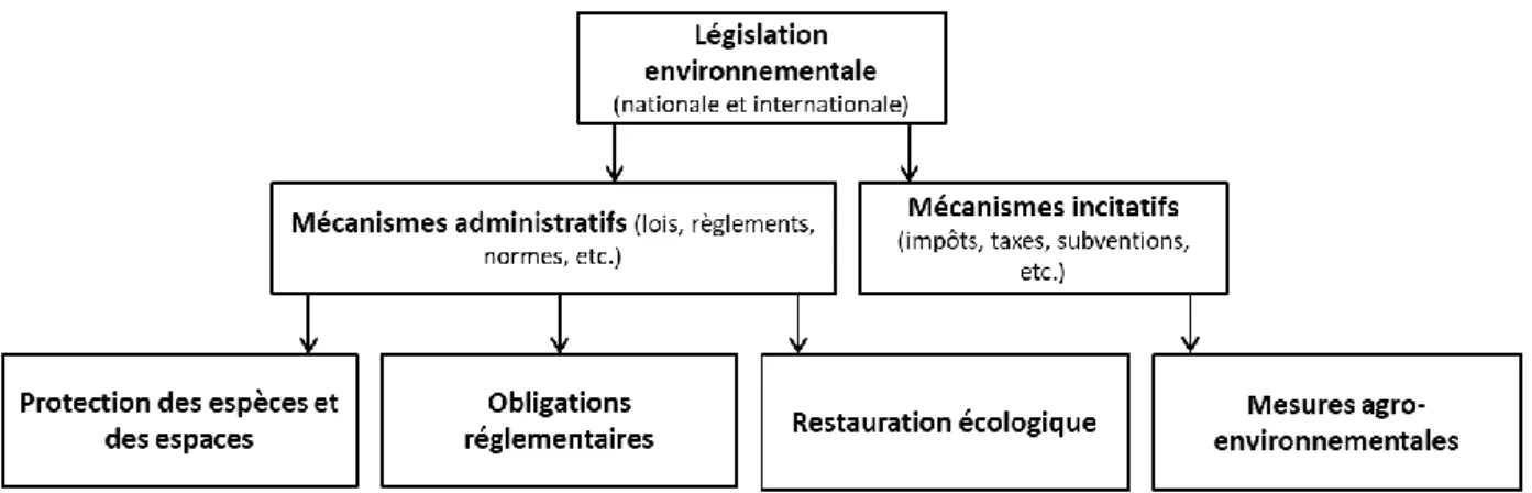 Figure 5 : Principaux outils législatifs existants contribuant à la protection de la biodiversité
