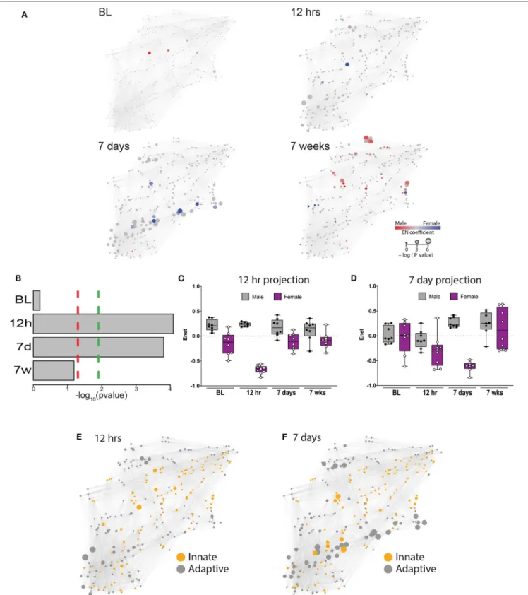 FIGURE 2 | An elastic net analysis identifies a two-phase sex divergent response to injury