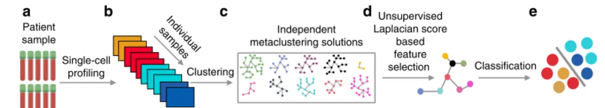 Fig. 1 An overview of the VoPo pipeline for robust clinical outcome prediction. VoPo is an end-to-end bioinformatics pipeline for prediction and visualization of high-throughput single-cell data