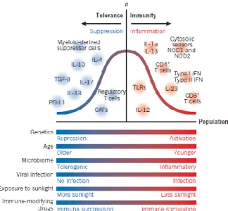 Figure 7 : Les multiples facteurs influençant la mise en place d’une immunité protectrice versus  un état de tolérance du SI au cours des cancers (Chen and Mellman, 2017)