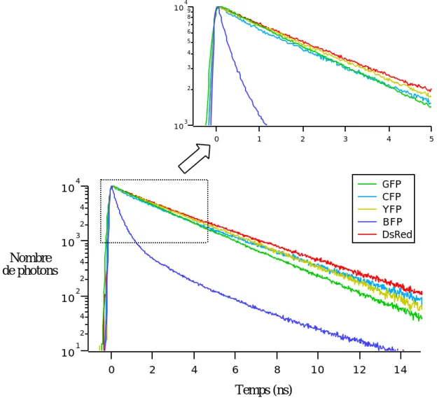 Table IV. 3 : Durées de vie des différentes XFP.