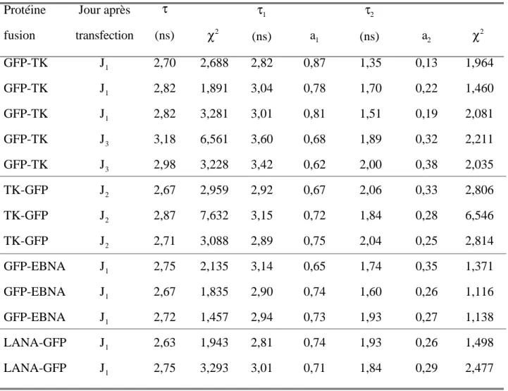 Table IV. 5 : Durées de vie des protéines fusions GFP. Protéine fusion Jour après transfection τ (ns) χ 2 τ 1 (ns) a 1 τ 2 (ns) a 2 χ 2 GFP-TK J 1 2,70 2,688 2,82 0,87 1,35 0,13 1,964 GFP-TK J 1 2,82 1,891 3,04 0,78 1,70 0,22 1,460 GFP-TK J 1 2,82 3,281 3,