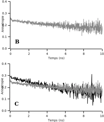 Figure  I V .   3 3   :   Déclins  d’anisotropie  de  la  GFP  en solution et en cellules.