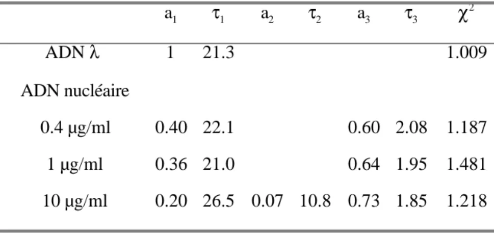 Table IV. 8 : Paramètres cinétiques de la fluorescence de l’éthidium dans une solution d’ADN de phage λ et dans le noyau de cellules S2 vivantes.