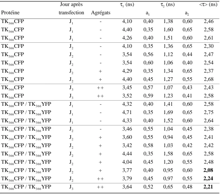 Table V. 2 : Paramètres cinétiques  de  fluorescence  des  mono  et  co-transfection  TK 366 CFP  et TK 366 YFP