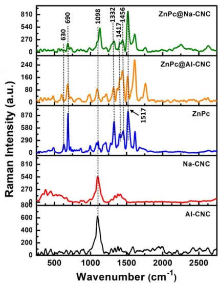 Fig. 3. Raman spectra (532 nm excitation) of (a) AI-CNC (b) Na-CNC (c) ZnPc (d) ZnPc@AI-CNC and (e) ZnPc@Na- ZnPc@Na-CNC