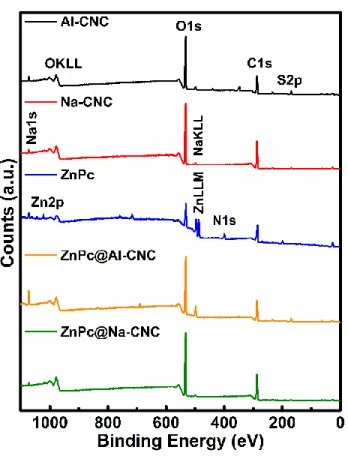 Fig. S5. XPS elemental survey scan of AI-CNC (black), Na-CNC (red) and ZnPc (blue), ZnPc@AI-CNC (orange) and  ZnPc@Na-CNC (green)