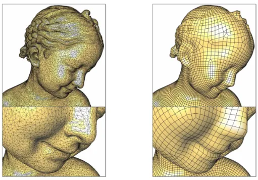 Figure 1.3: Three different meshes of the Bimba. Left: Triangle mesh. Right: Quadrangle mesh.