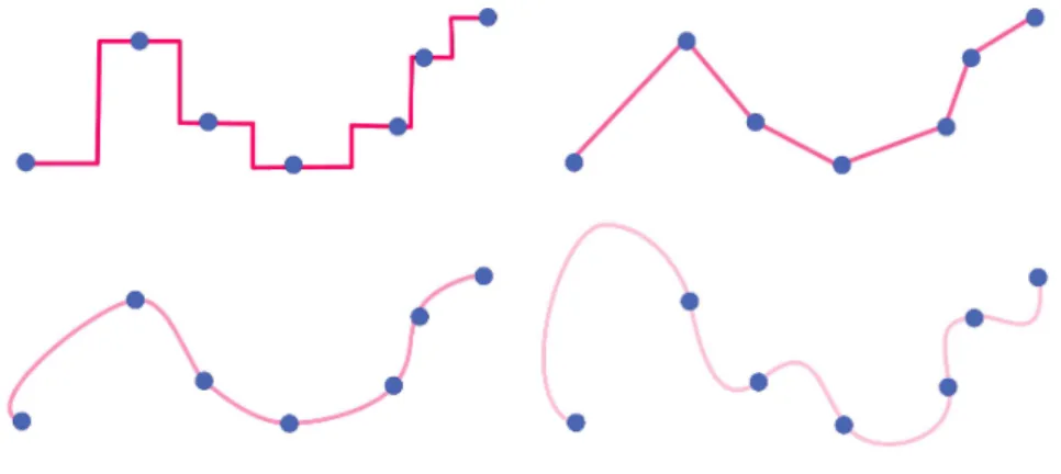 Figure 1.7: Different curves which interpolate the data points (piecewise constant, linear,..