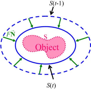 Figure 2.19: Active contours in 2D. The curve S is approximated dynamically by a family of curves S(t), t = 0 
