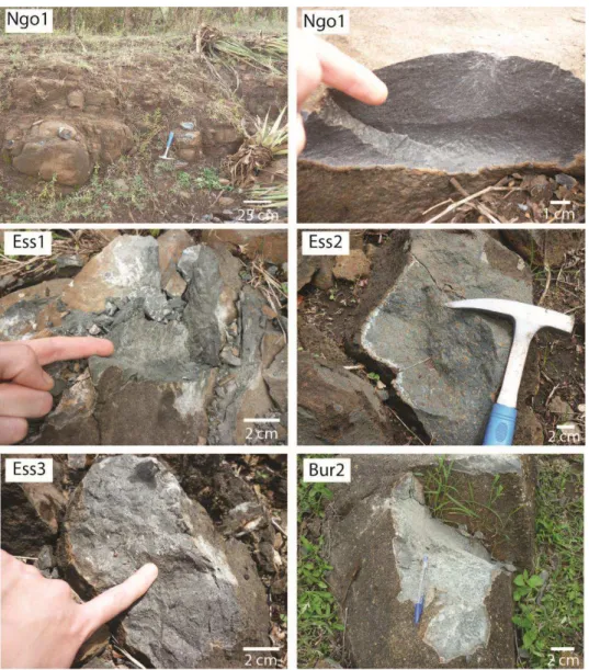 Fig. II.12 : Photos de l’affleurement Ngo1 (Ngorongoro) et des laves d’Essimingor (Ess1, Ess2, Ess3)  et de Burko (Bur2)