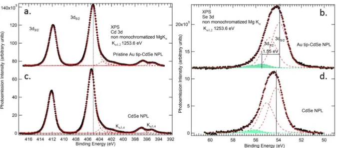 Figure 5. Background-subtracted Cd 3d (a) and Se 3d (b) spectra of the dithiol Au tip-CdSe NPL film sample with  its silicon substrate biased to +5.9 V