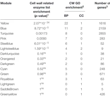 TABLE 2 | Enrichment analyses of the modules based on a cell wall-related enzyme list and SCW and general CW GO terms (CW GO terms).