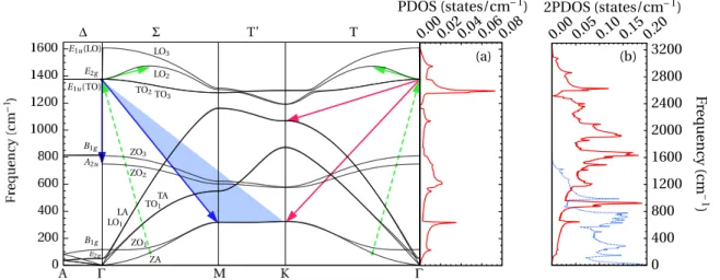 FIG. 2. (a) Phonon dispersion and phonon density of states in h-BN as obtained from DFT calculations