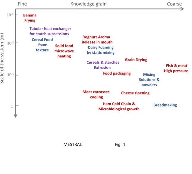 Figure  4:  Schematic  mapping  of  the  various  models  implemented  in  MESTRAL  according  to  their  knowledge grain (from more to less accurate predictions, x axis) and size scale of the modelled system  (y axis)