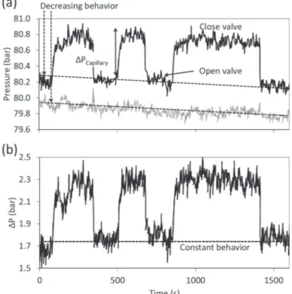 Fig. 2 shows the results before and after correction for the tests ran with CO 2 . 