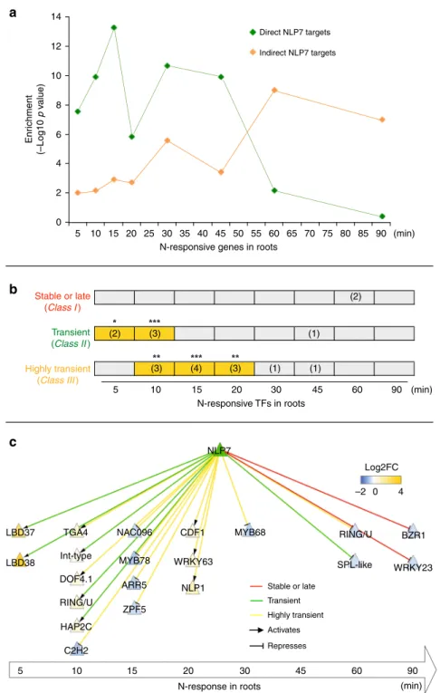 Fig. 3 NLP7-direct targets are enriched in early N-responsive genes including secondary TFs
