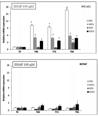 Figure 3. Effects of mRNA expression in XTC.UC1 cells during 20% serum induction and 100 m M SNAP and/or 30 nM PRC SiRNA treatment