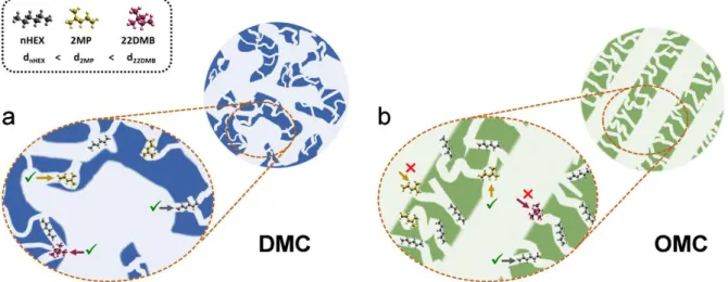 Figure  5.  Scheme  of  the  connectivity  of  the  porous  structure  of  (a)  DMC  and  (b)  OMC  materials