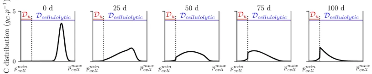 Fig. 3 Dynamics of cellulose degradation by one decomposer community (scenario 1). a Changes in the distribution of cellulose polymer length over time, reported in g C 