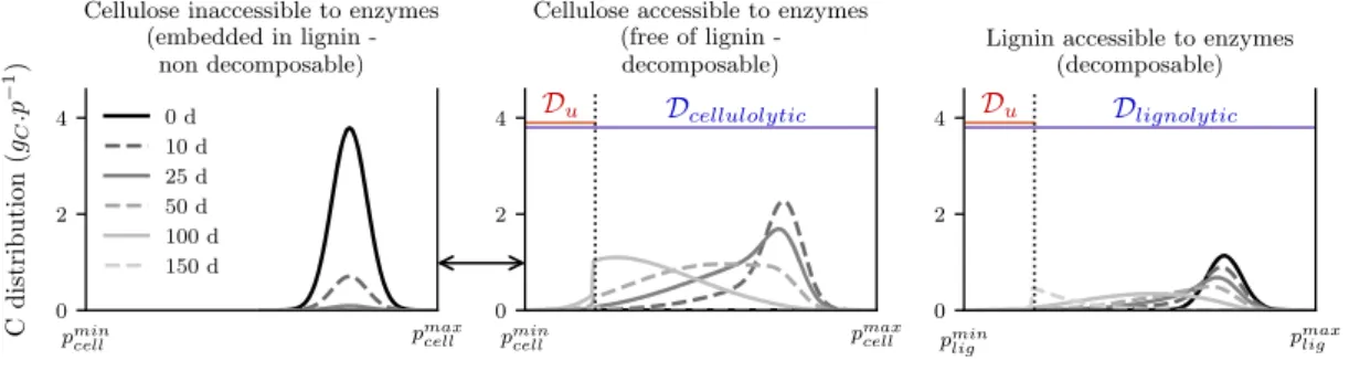Fig. 4 Degradation of lignocellulose by a microbe community producing cellulolytic and lignolytic enzymes (scenario 2)