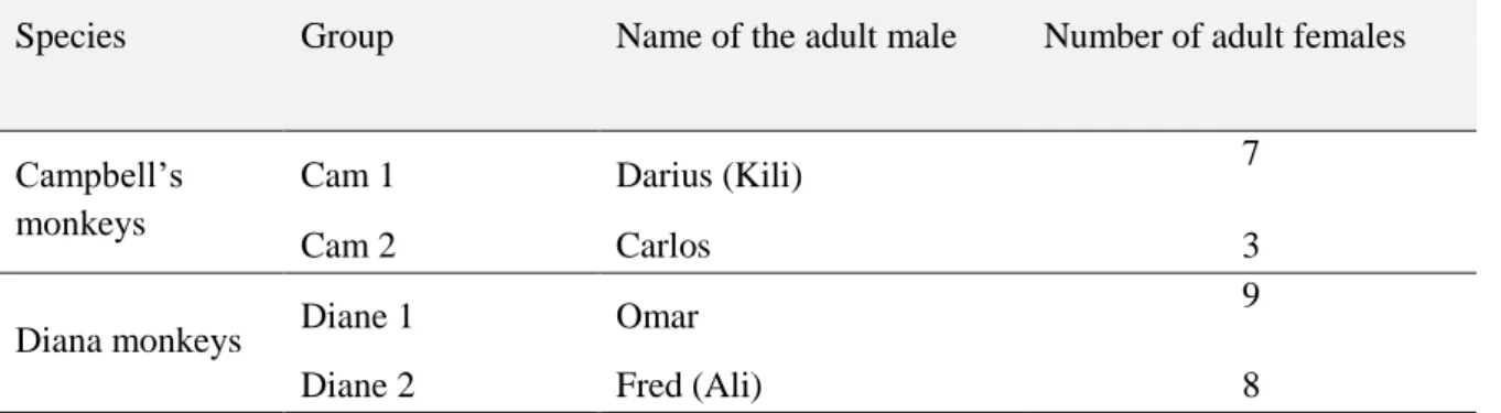 Table 1: Summary of group composition (adults only) in the four study groups. The name given between  brackets is that of the male supplanting the first male present during the study period