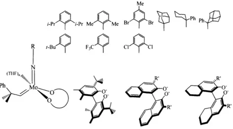 Figure GI.5.  Various imido and diolate  ligands  used in  the preparation  of molybdenum  imido  alkylidenes.