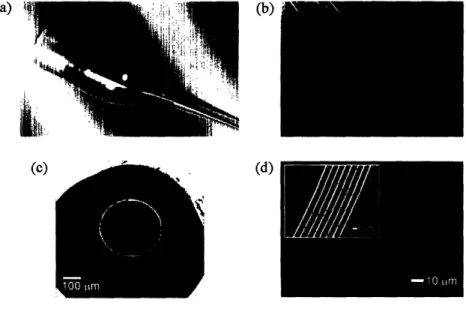 Figure  1-3:  (a) Part  of preform  after it  was heated  and  drawn  into fiber.  (b) Hundreds of meters  of thin,  flexible fiber  are  obtained  from  a single  preform
