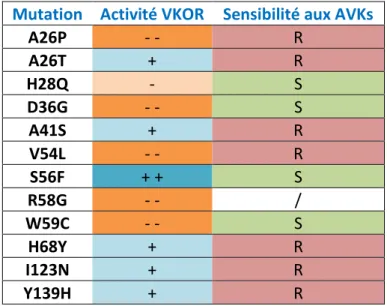 Tableau  1.1.  Mutations  de  VKORC1  et  phénotypes  associés.  Les  effets  induits  par  chaque  mutation  sur  l'activité  VKOR  et  sur  la  sensibilité  de  VKORC1  vis-à-vis  des  AVKs  sont  indiqués